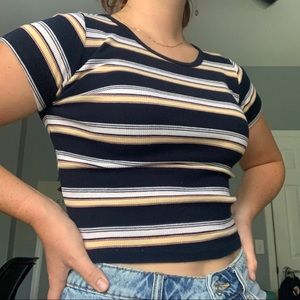 Brandy Melville Crop Top